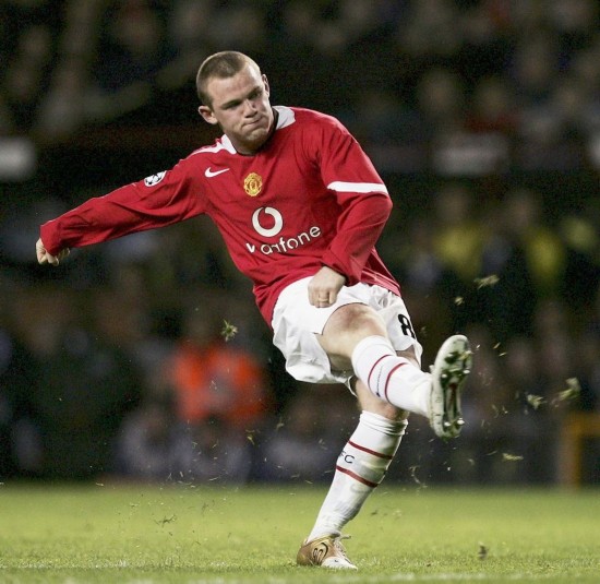 的称号也纷 的称号也纷